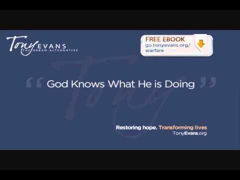 d367bcdee6cfbe9860ae667cf8b12c3e