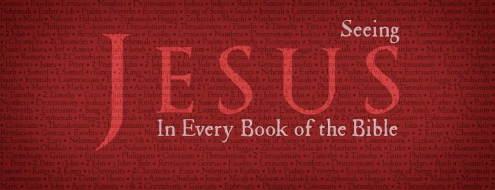 seeingjesusineverybook.jpg