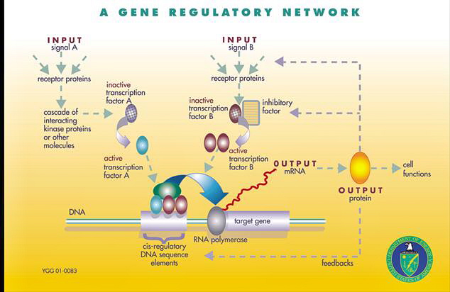 Software: Microsoft Office